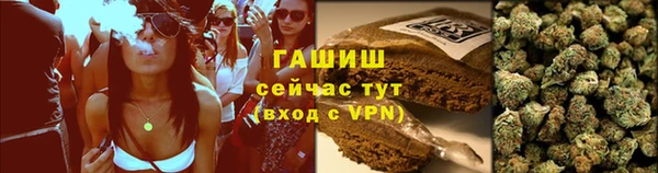 PSILOCYBIN Беломорск