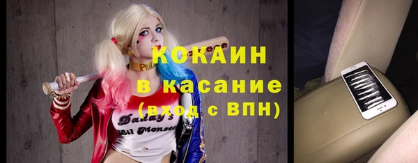 таблы Богородицк