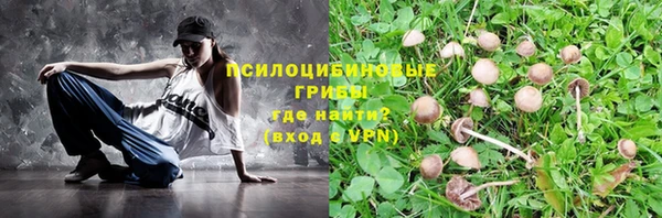 таблы Богородицк