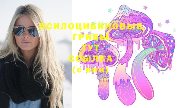 таблы Богородицк