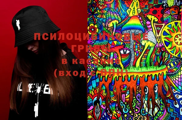 таблы Богородицк